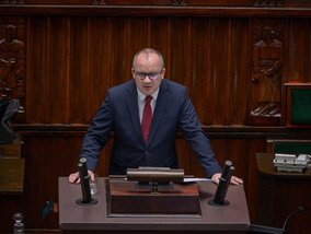 Miniatura: Bodnar przedstawił w Sejmie dane dotyczące...