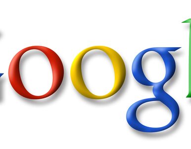 Miniatura: Google zdegradowało porównywarki cenowe