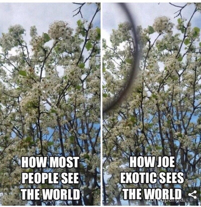 Jak większość ludzi widzi świat/Jak Joe Exotic widzi świat 