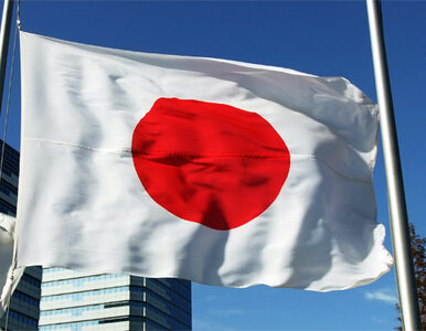 Miniatura: Rating Japonii w dół