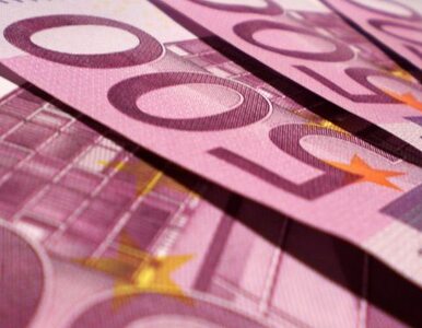 Miniatura: Niemcy skarżą pakt fiskalny. "To pucz...