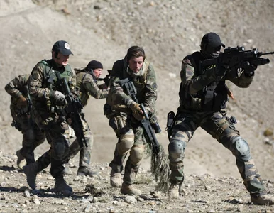 Miniatura: To jeden z niewielu takich filmów akcji....