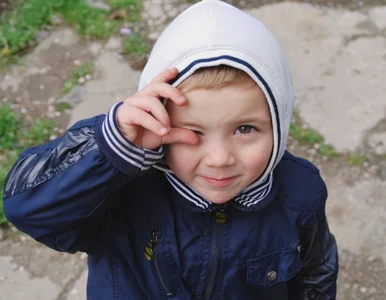 Miniatura: Sprzedawcy życia