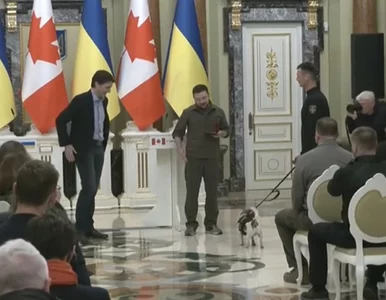 Miniatura: „Najmniejszy bohater Ukrainy” odznaczony...