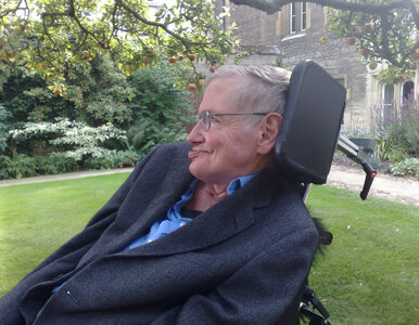 Miniatura: Stephen Hawking zostanie pochowany obok...