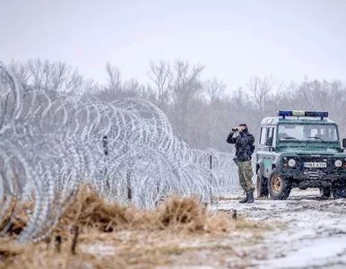 Miniatura: Syryjka zmarła przy granicy z Polską? SG...