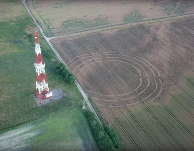 Miniatura: Tajemnicze kręgi w zbożu pod Oławą. „Nie...