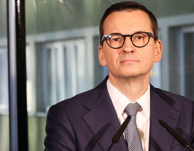 Miniatura: Mateusz Morawiecki poleciał do Brukseli....