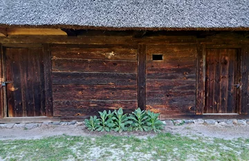 Skansen budownictwa puszczańskiego w Granicy 