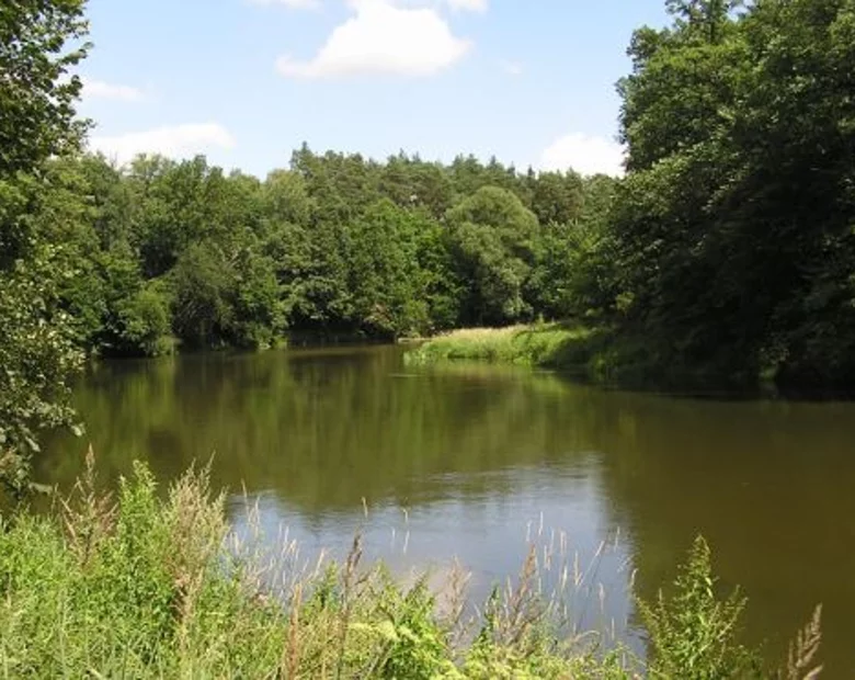 Miniatura: Belg przyjechał podróżować po Polsce, bo...