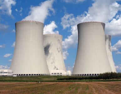 Miniatura: Polska elektrownia atomowa stanie nad morzem