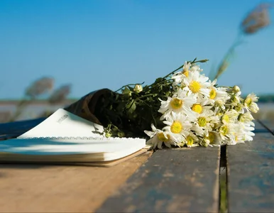 Miniatura: Banalny quiz ortograficzny. Ten test z...