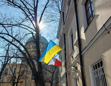 Miniatura: Tu chronią się Ukraińcy. „Cudowni ludzie,...