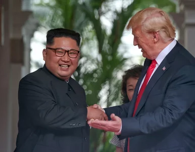 Miniatura: Trump jako zdrajca, czyli o co chodzi...