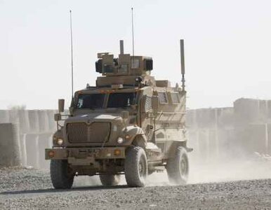 Miniatura: Afganistan: Polacy zniszczyli 6,5 tony...