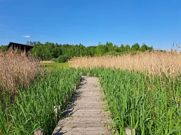 Ścieżka przyrodnicza Na Skraju Puszczy w miejscowości Granica 