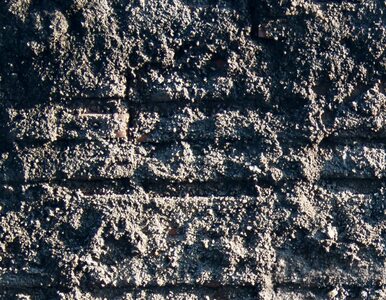 Miniatura: Zaleją betonem piwnicę Fritzla
