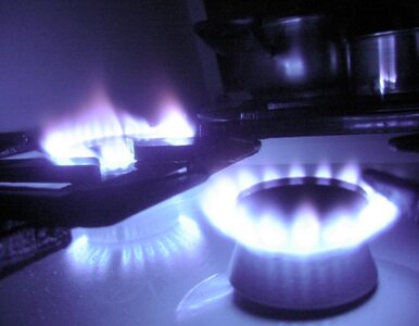 Miniatura: Gazprom: Rosja od stycznia będzie znów...