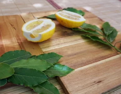 Miniatura: Wbij liście laurowe w cytrynę. Ten domowy...