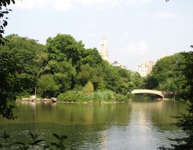 Miliarder przekazuje 100 milionów dolarów na utrzymanie Central Parku