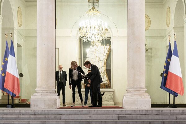 Miniatura: Nemo, pies Emmanuela Macrona