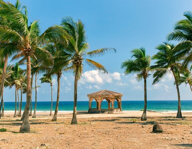 Miniatura: Bezpośrednie połączenie z Polski do raju...