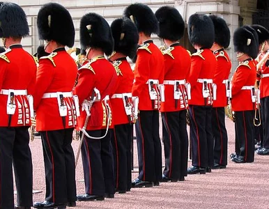 Miniatura: Angielski dla posłów. "Żeby nie było wstydu"