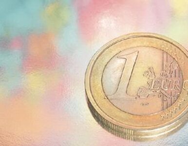 Miniatura: Rząd potajemnie przyspiesza euro