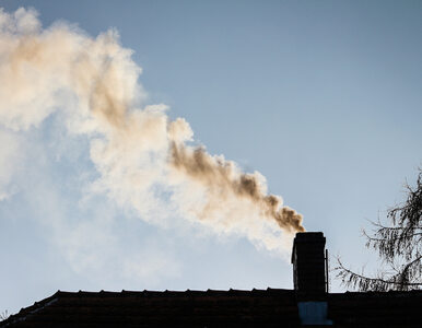 Miniatura: Domy z całkowitym zakazem emisji dwutlenku...