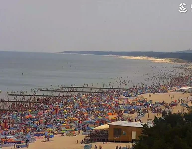 Miniatura: Na plaży w Łebie nie ma gdzie wetknąć...