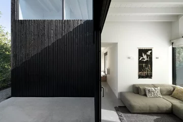 Patio Home, Capsula 