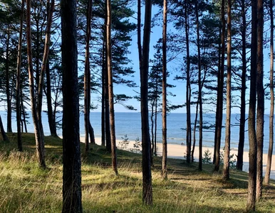 Miniatura: Wracają opłaty nad Bałtykiem. Nawet 35...