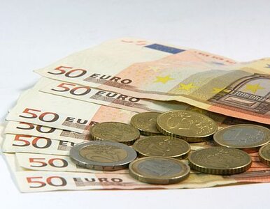 Miniatura: Duńczycy odwracają się od euro