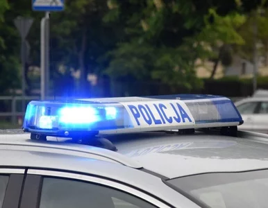 Miniatura: Niemowlak pod opieką pijanej matki. W...