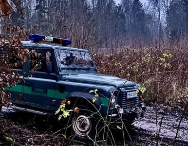 Miniatura: Znów niespokojna doba na granicy...