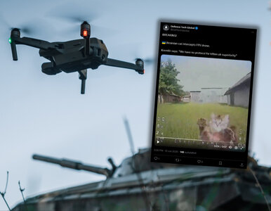 Miniatura: NIK alarmuje. Fundusz Wsparcia Sił...