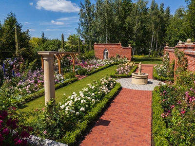 Miniatura: Złoty Certyfikat POT 2025