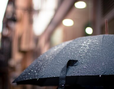 Miniatura: Niedziela z przelotnym deszczem w całym...
