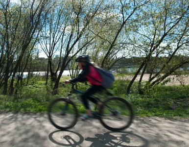 Miniatura: Grupa Polaków brutalnie zaatakowała...