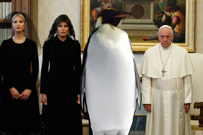 Pingwin zamiast Trumpa podczas wizyty w Watykanie 