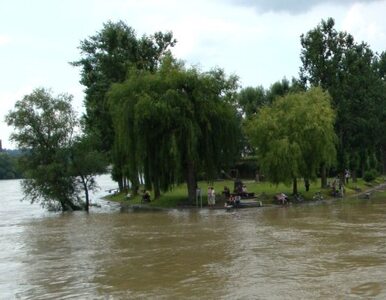 Miniatura: Brakuje 9 mld zł na walkę ze skutkami powodzi