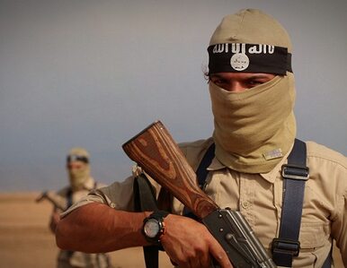 Miniatura: IS zmniejsza wynagrodzenie bojowników o...