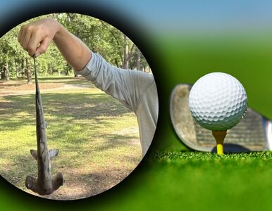Miniatura: Groza na polu golfowym. Rekin młot spadł z...