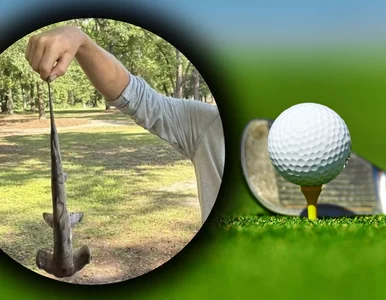 Miniatura: Groza na polu golfowym. Rekin młot spadł z...