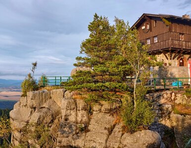 Miniatura: Polakom zamarzyła się praca z takim...