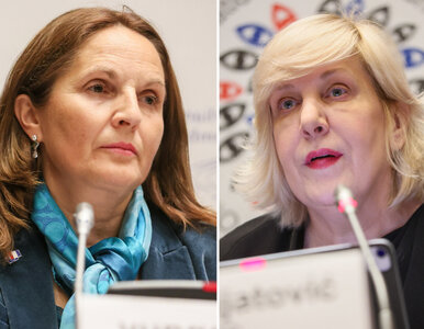 Miniatura: OBWE oceniło wybory w Polsce. Są zastrzeżenia