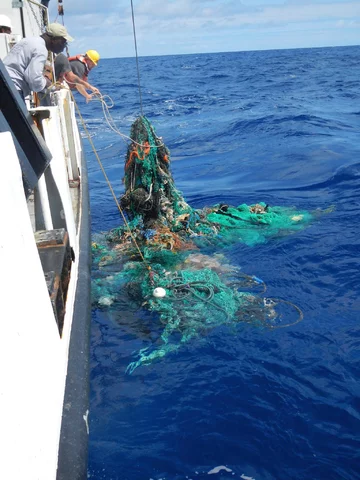 Przedmioty wyłowione z oceanu 