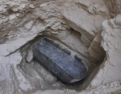 Miniatura: Archeolodzy wykopali sarkofag. Nie był...
