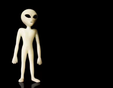 Miniatura: Jak zbić fortunę na UFO