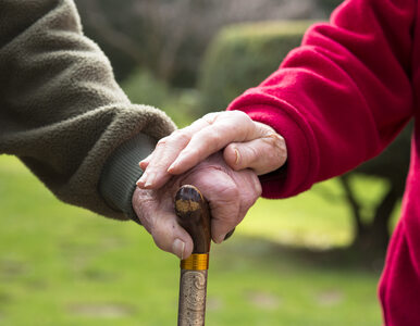 Miniatura: Seniorzy obojętni na apele o pozostanie w...